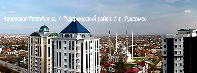 ЧЕЧНЯ. В ГУДЕРМЕССКОМ РАЙОНЕ ВОЗОБНОВИЛИ РАБОТУ АВТОСЕРВИСЫ И ТОРГОВЫЕ ТОЧКИ