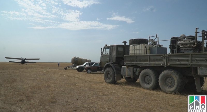 ДАГЕСТАН. На севере Дагестана для борьбы с саранчовыми вредителями привлечена малая авиация