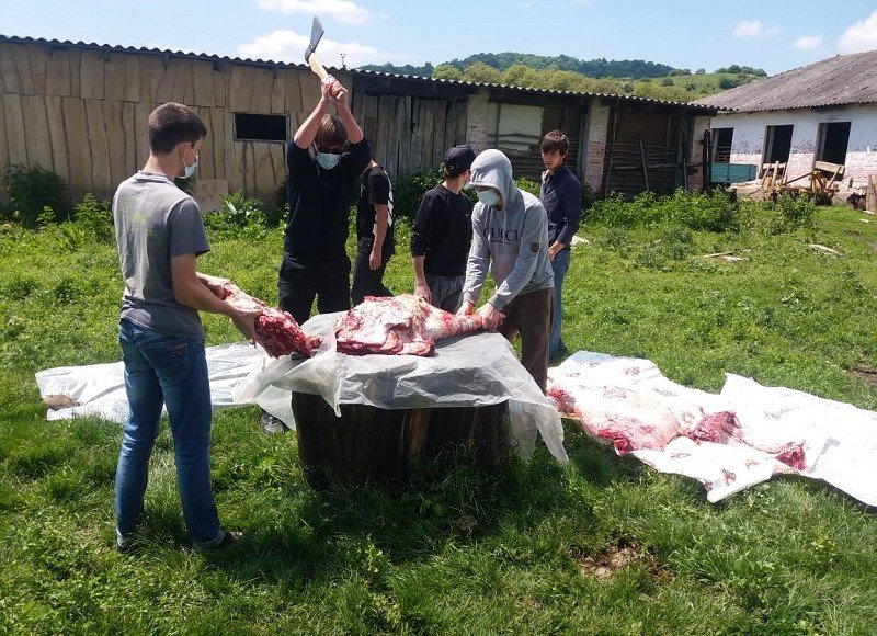 ИНГУШЕТИЯ. Около 3400 кг. мяса раздали сегодня в Сунженском районе