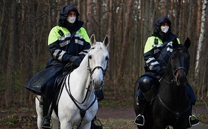 Общее число заразившихся коронавирусом в мире составило 3,93 миллиона человек