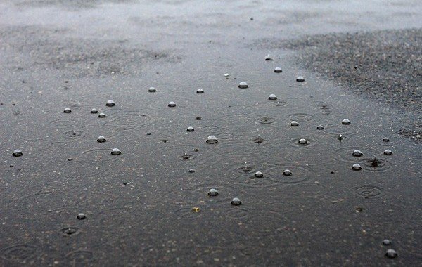 СТАВРОПОЛЬЕ. На Ставрополье в начале недели ожидаются дожди и грозы