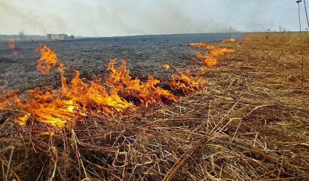 ЧЕЧНЯ. До 16 июня в районах ЧР сохранится высокая пожароопасность