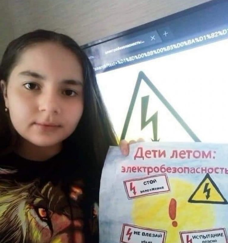 ЧЕЧНЯ. «Россети Северный Кавказ» призывают родителей усилить контроль за поведением детей вблизи энергообъектов