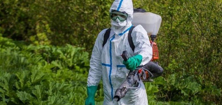 ЧЕЧНЯ. Управление Федеральной налоговой службы по ЧР опубликовало на сайте карантинные мероприятия, обязательные для землевладельцев