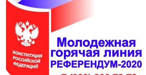 ЧЕЧНЯ. В ЧР студенты собираются консультировать о порядке голосования по поправкам к Конституции РФ