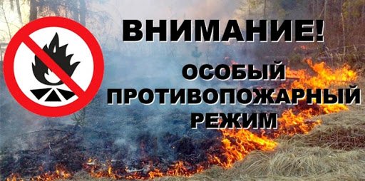 ЧЕЧНЯ.  В лесничествах ЧР введено ограничение пребывания граждан