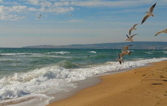 КРЫМ. Пляжи Крыма должны быть готовы к 1 июля