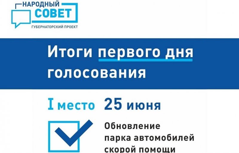 РОСТОВ. Поведены первые итоги голосования в рамках проекта «Народный совет»