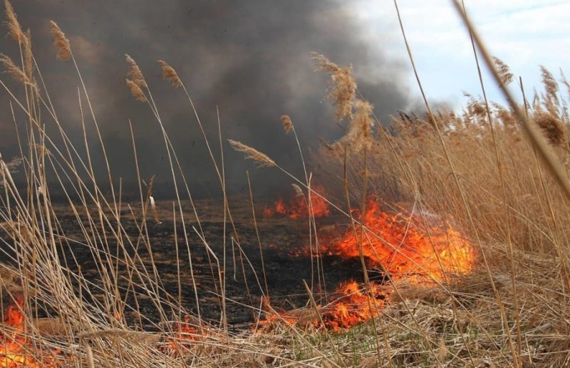 ЧЕЧНЯ. МЧС предупреждает о чрезвычайной пожароопасности на территории Чеченской Республики