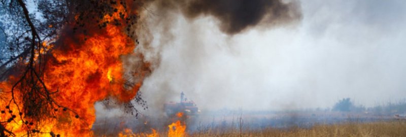 ЧЕЧНЯ. На территории ЧР сохраняется режим чрезвычайной пожароопасности