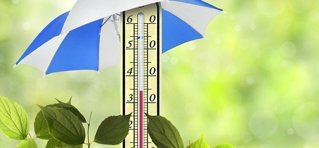 ЧЕЧНЯ. Роспотребнадзор ЧР дал рекомендации по защите от жары