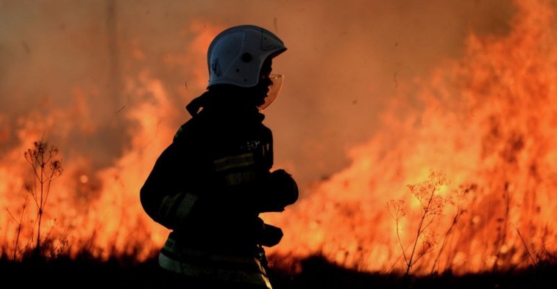 ЧЕЧНЯ. С начала года на территории ЧР зарегистрировано 854 пожара