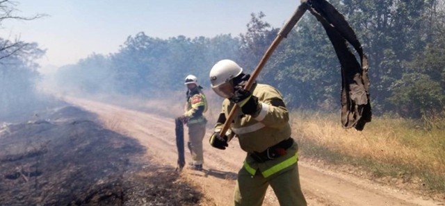 ЧЕЧНЯ. С начала года на территории Чеченской Республики зарегистрировано 603 пожара