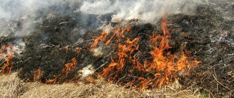 ЧЕЧНЯ. В ЧР с начала года зарегистрировано 98 случаев загорания сухой растительности