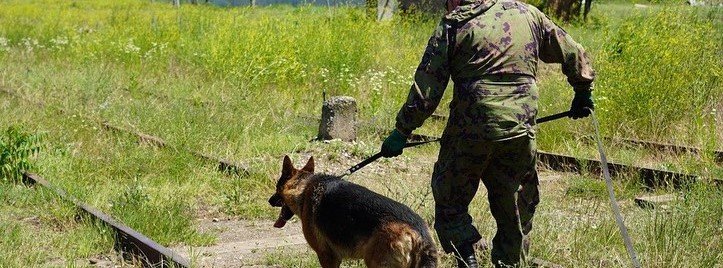 ЧЕЧНЯ. В районе грозненского вокзала обнаружен схрон с боеприпасами