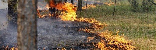 ЧЕЧНЯ. На территории Чеченской Республики объявлена чрезвычайная пожароопасность