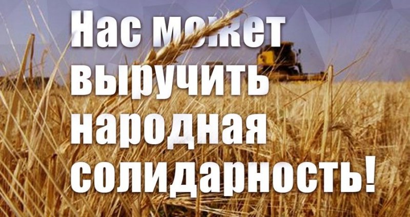 КЧР. Мнения простых людей, по поводу банкротства Павла Грудинина и помощи ему