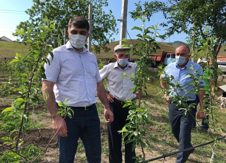 КЧР. В Карачаево-Черкесии набирает обороты программа по закладке садов интенсивного типа на территории личных подсобных хозяйств