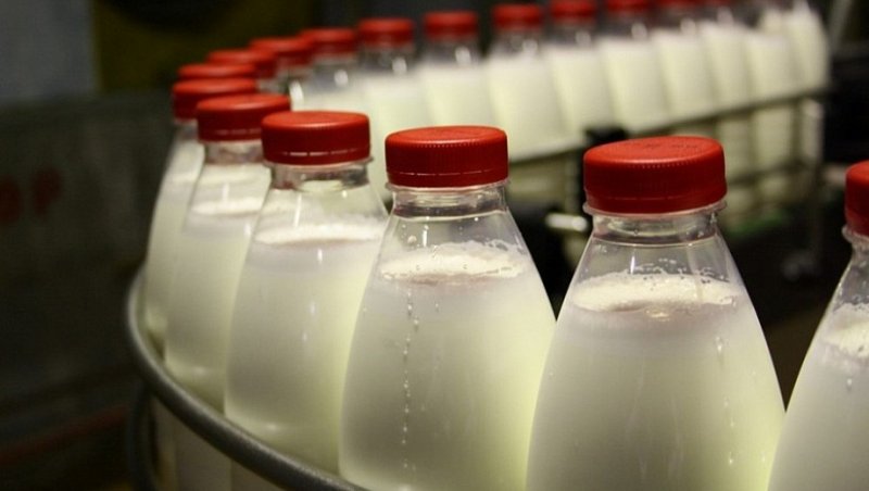 КРАСНОДАР. Краснодарский край лидирует по производству питьевого молока