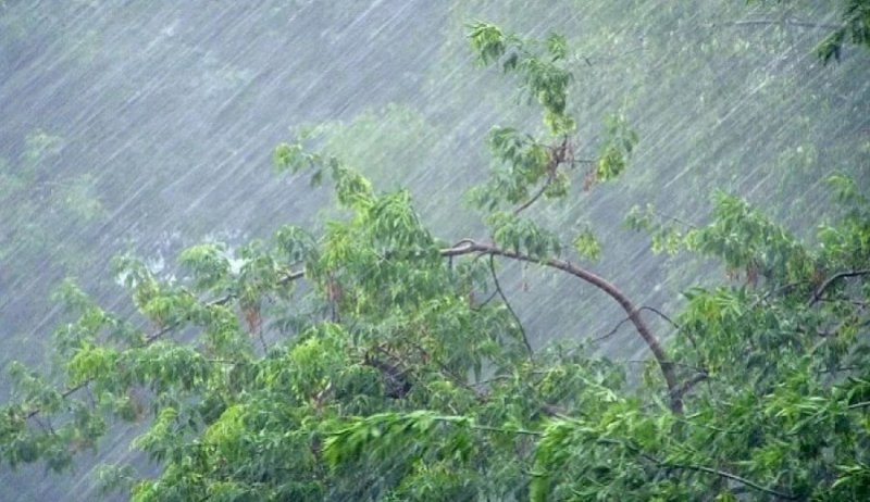 РОСТОВ. Опять штормовое: в Ростовскую область идут дожди и грозы