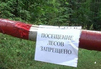 РОСТОВ. В Ростовской области запретили посещать леса