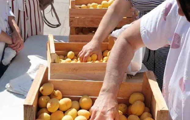 В Москве проходит благотворительная акция по раздаче армянских абрикосов (видео)