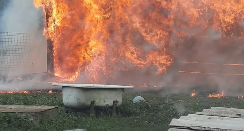 ВОЛГОГРАД. Ландшафтные пожары в Волгоградской области угрожают населенным пунктам
