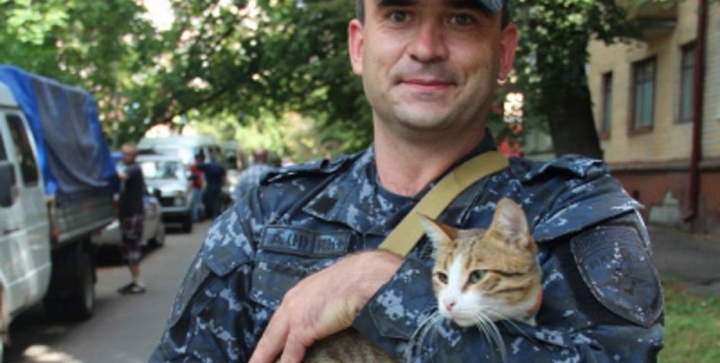 ЧЕЧНЯ. Брянский полицейский вернулся из командировки в Чечню с котом из Шатоя.