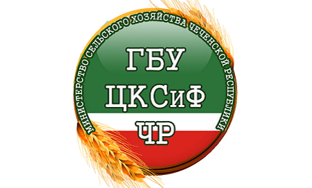 ЧЕЧНЯ. Граждане Чеченской Республики могут рассчитывать на бесплатные консультационные услуги в рамках регионального проекта