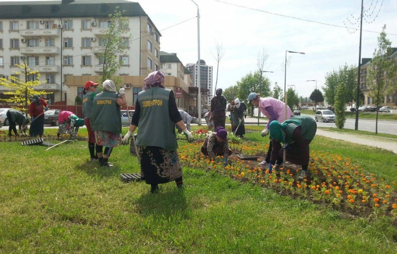 ЧЕЧНЯ. Сотрудники «Зеленстроя» облагораживают поселок Калинина в Грозном