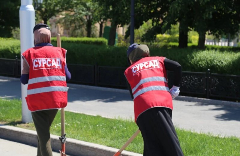 ЧЕЧНЯ. «Сурсад» призвал жителей Чеченской Республики к чистоте