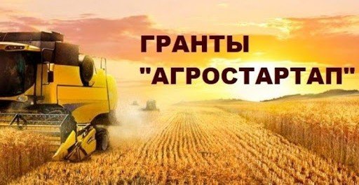 ЧЕЧНЯ. Завершился первый этап мероприятия «Агростартап»