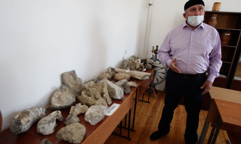 ЧЕЧНЯ. В музее одной из школ республики собраны кости древних животных