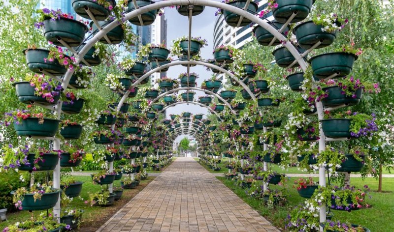 ЧЕЧНЯ. «Зеленстрой» облагораживает цветочный парк Грозного