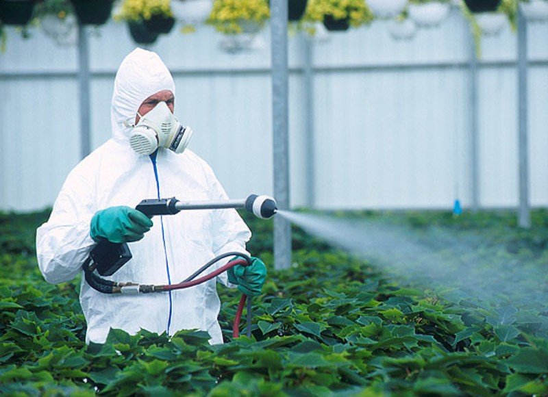ИНГУШЕТИЯ. Руководителей ГУПов в Ингушетии могут оштрафовать за неправильное хранение пестицидов