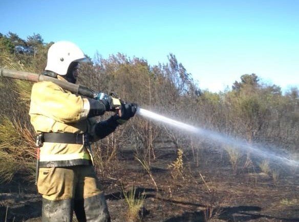 КРЫМ. Пожар в Бахчисарайском районе — горел лес