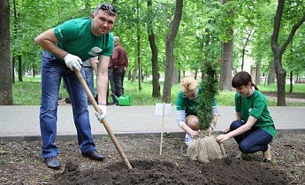 РОСТОВ. 20 тысяч деревьев и кустарников, высадят в Ростове осенью