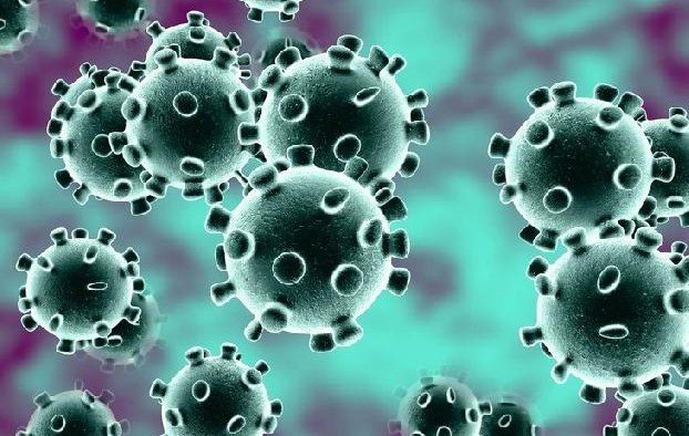 Темп распространения коронавируса в мире падает: в Европе он вернулся к показателям весны