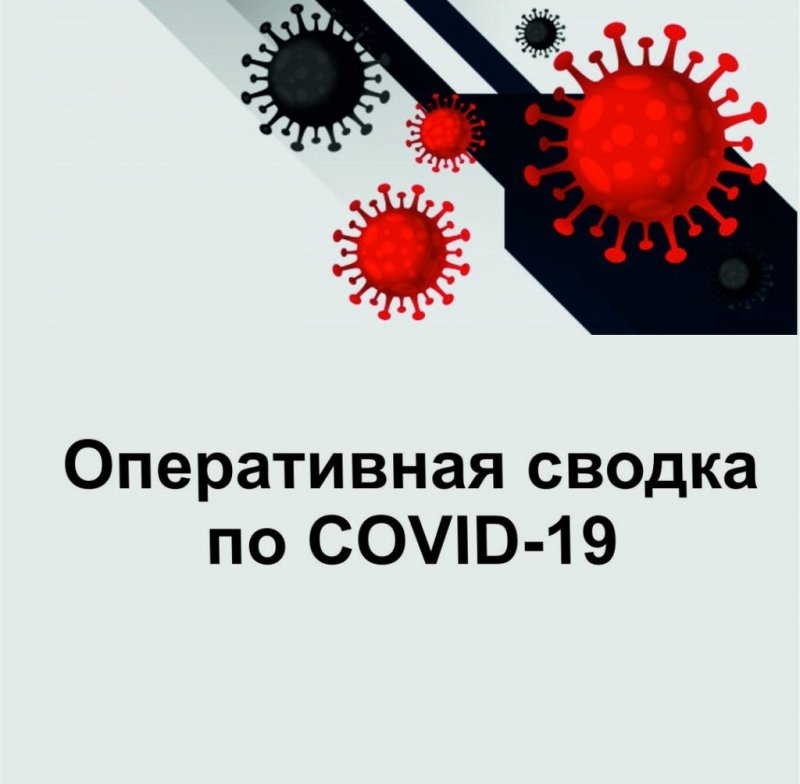 ВОЛГОГРАД. ⚡️Оперативная сводка на 11 августа 2020 года⚡️