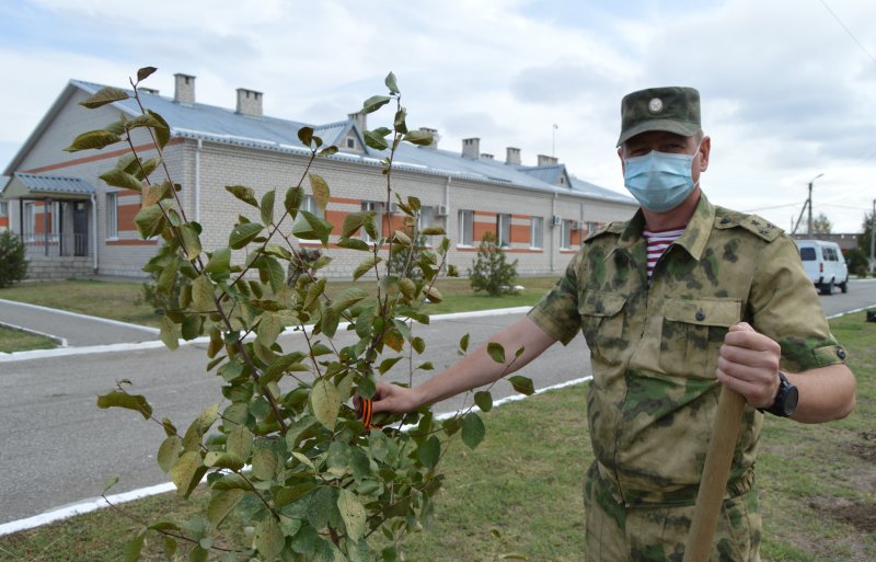 ЧЕЧНЯ. Росгвардейцы из ЧР присоединились к акции «Лес Победы»