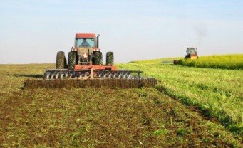 ЧЕЧНЯ. Россельхознадзор рекомендует проводить агротехнические мероприятия при посадке озимой пшеницы