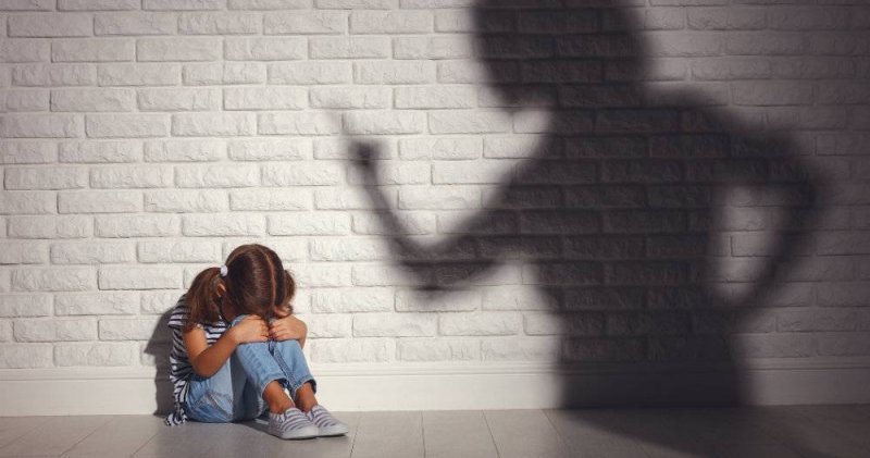ЧЕЧНЯ. В ЧР организована проверка по факту избиения малолетней девочки