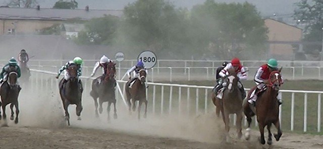 ЧЕЧНЯ. В Грозном состоялись скачки с участием лошадей чистокровной верховой породы