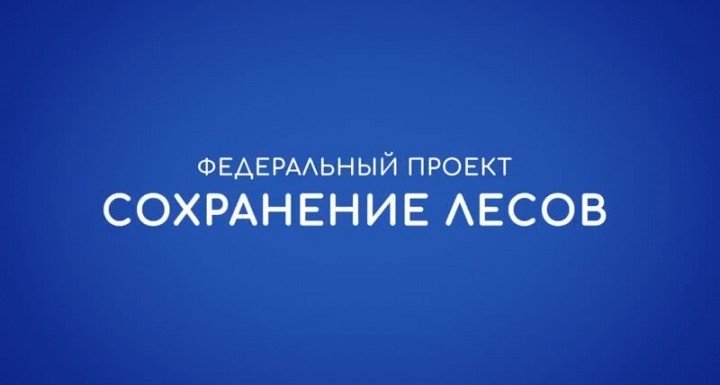 КЧР. В Карачаево-Черкесии в рамках реализации национального проекта «Экология» федерального проекта «Сохранение лесов» приобретена 21 единица новой лесопожарной техники.