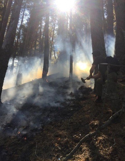 КЧР. В КЧР продолжаются работы по тушению низового пожара в Учкуланском лесничестве