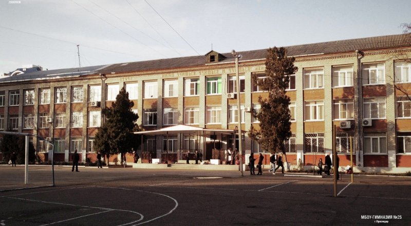 КРАСНОДАР. Из-за угрозы коронавируса в одной из гимназий Краснодара перешли на домашнее обучение