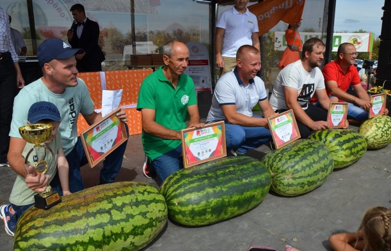 СТАВРОПОЛЬЕ. Ставропольская 80-килограммовая тыква признана самой тяжёлой в России