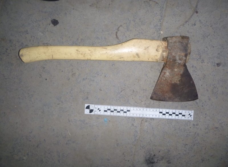 СТАВРОПОЛЬЕ. Житель Будённовского района насмерть забил женщину топором