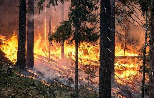 ЧЕЧНЯ. МЧС по ЧР предупреждает о чрезвычайной пожароопасности в районах