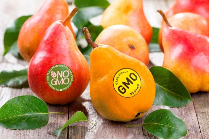 ЧЕЧНЯ. Россельхознадзор предупреждает: Внимание ГМО!